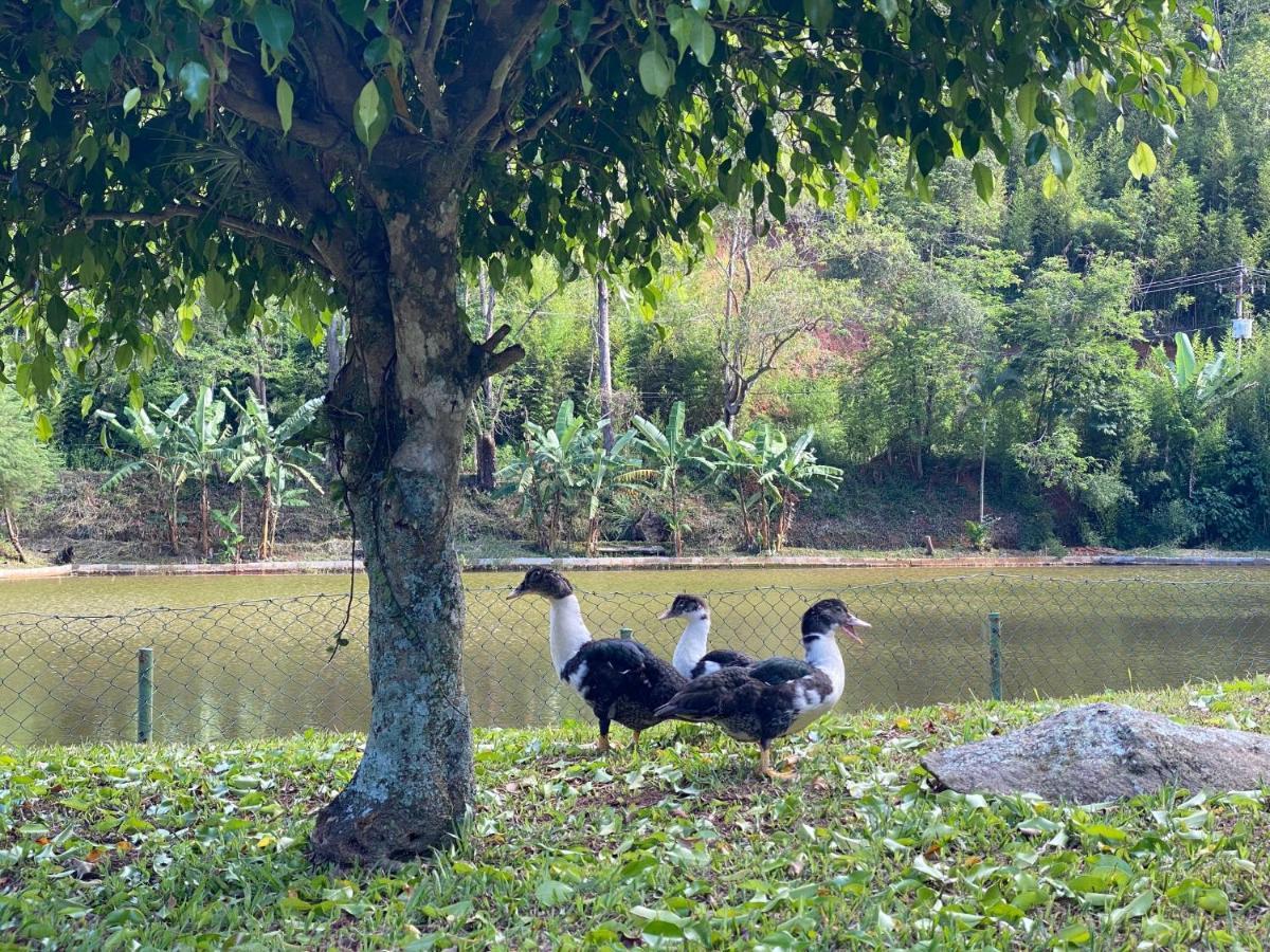 Hotel Fazenda Bonanza Engenheiro Paulo de Frontin Ngoại thất bức ảnh