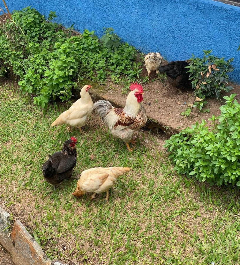 Hotel Fazenda Bonanza Engenheiro Paulo de Frontin Ngoại thất bức ảnh
